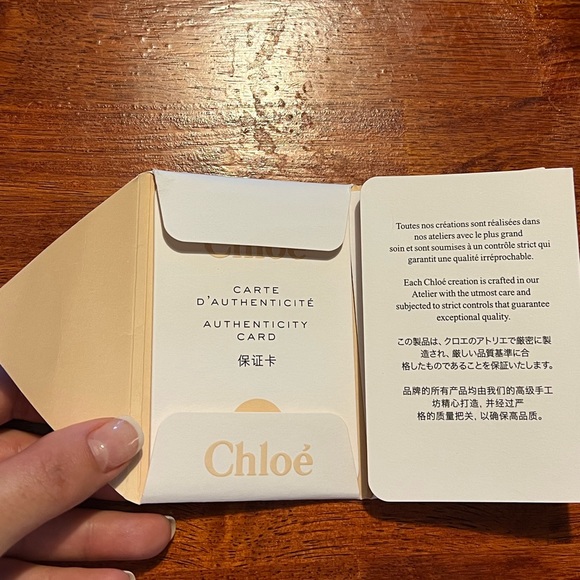 Edith Small Chloe Handbag - Picture 16 of 16